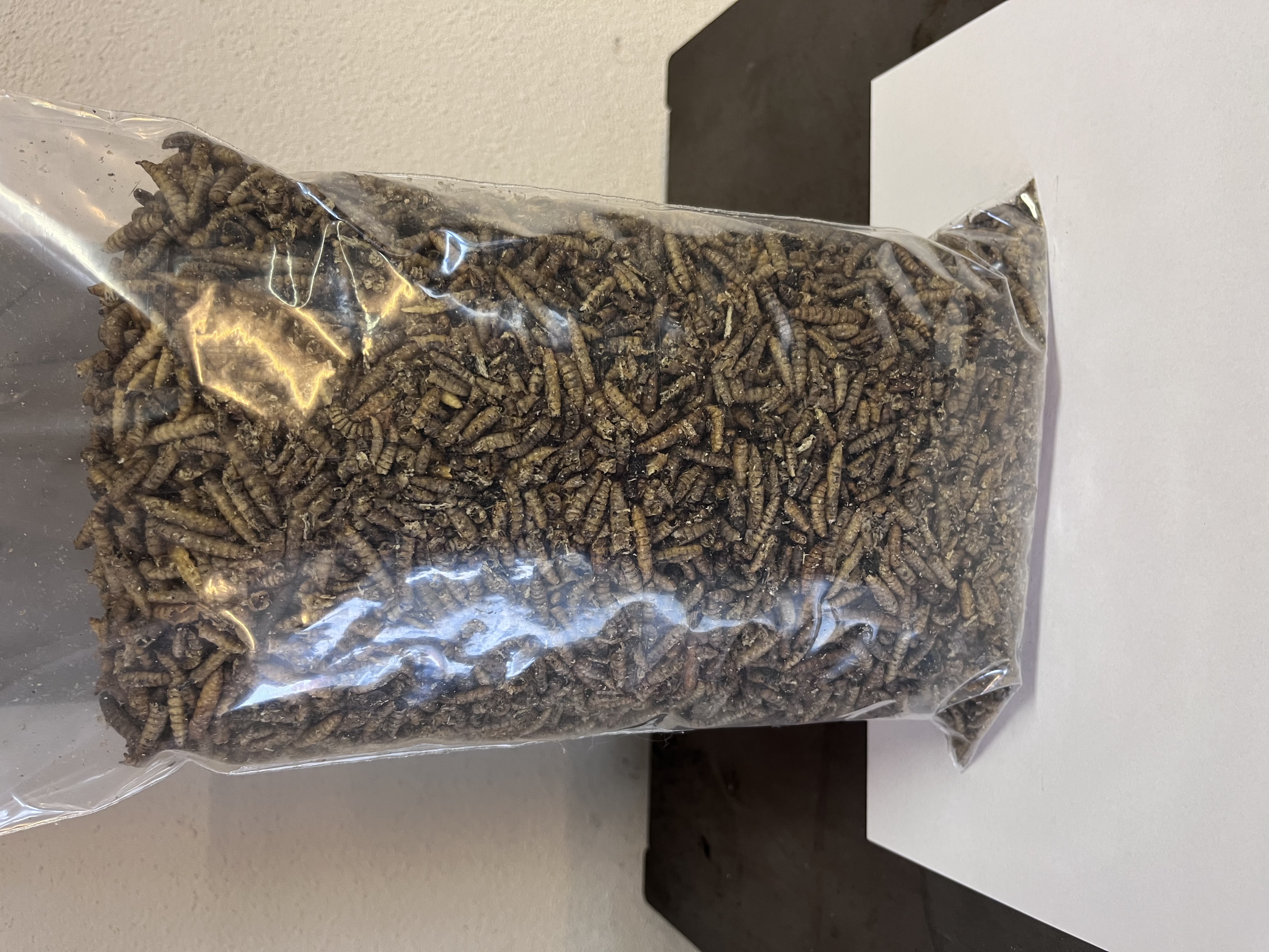 Soldatenfliegenlarven 500g Beutel - Ergänzungsfutter für Wildvögel 