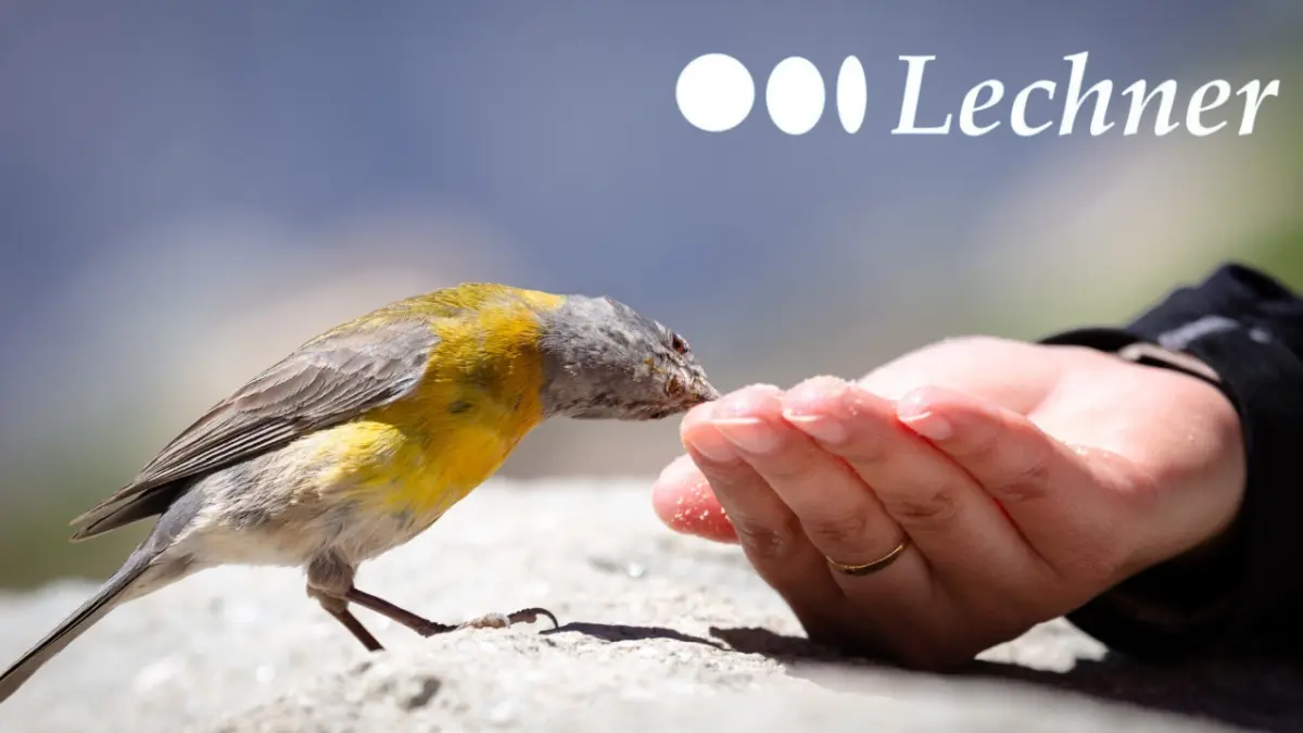 Lechner Wildvogelfutter - Premium Vogelfutter aus eigener Herstellung Lechner Wildvogelfutter - Premium Vogelfutter aus eigener Herstellung